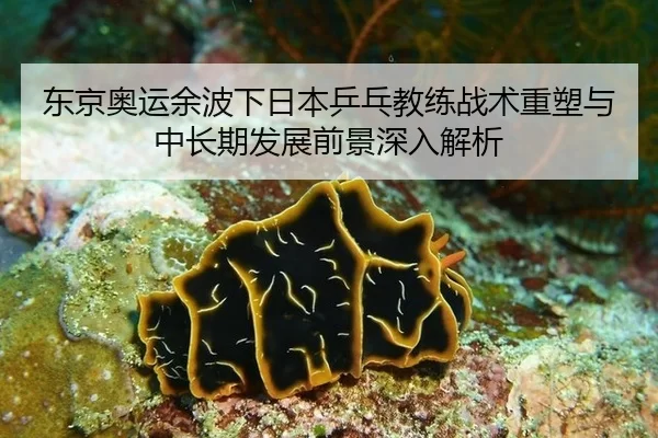 东京奥运余波下日本乒乓教练战术重塑与中长期发展前景深入解析